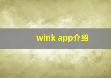 wink app介绍